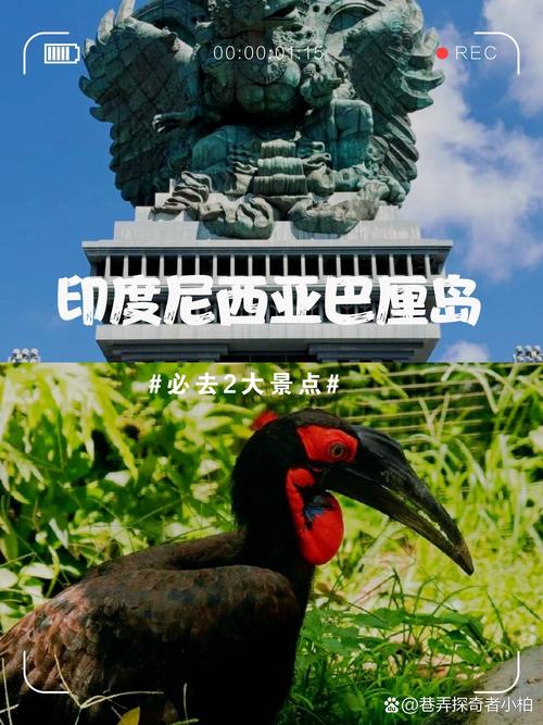巴厘岛是哪个国家？深度了解这片海岛的文化与魅力
