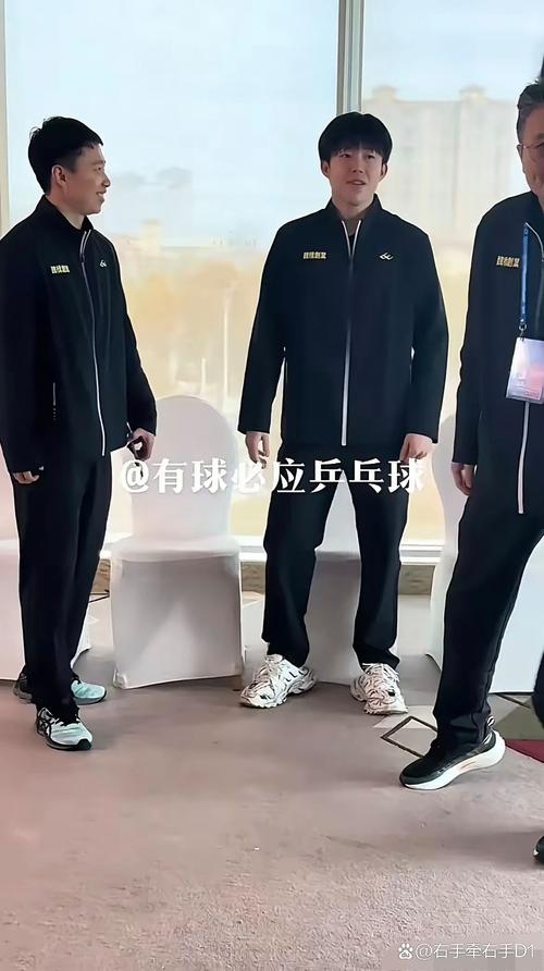 王楚钦教练换谁了？42岁名帅刘恒或成新任教练