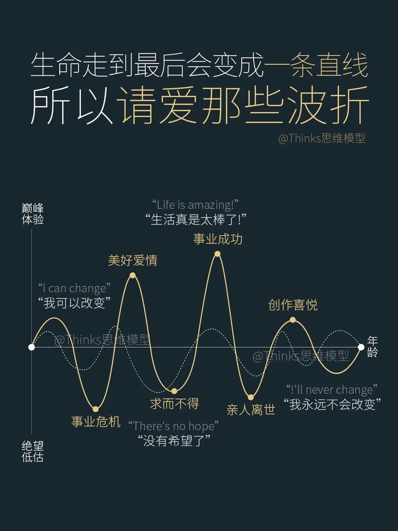 巴洛特利为何逐渐淡出人们视野？职业生涯的起伏与反思