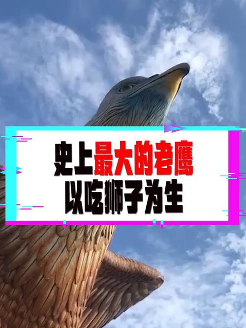 阿根廷巨鹰的日常食谱是什么？详解巨鹰的觅食方法！