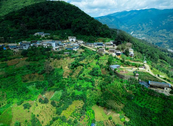 中国冰岛是云南哪个地方？探秘著名的冰岛茶叶