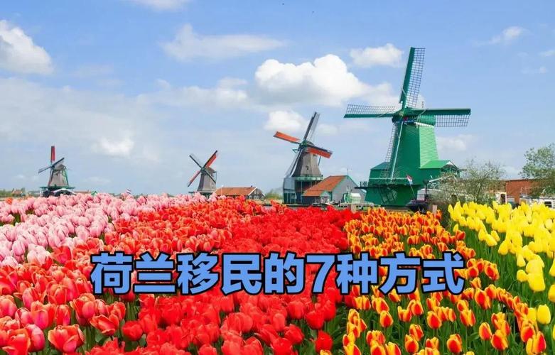 你知道荷兰还有哪些名字吗？探秘荷兰的别称和称号