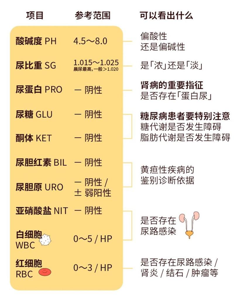 呈阳性结果说明什么？不同检查结果解读