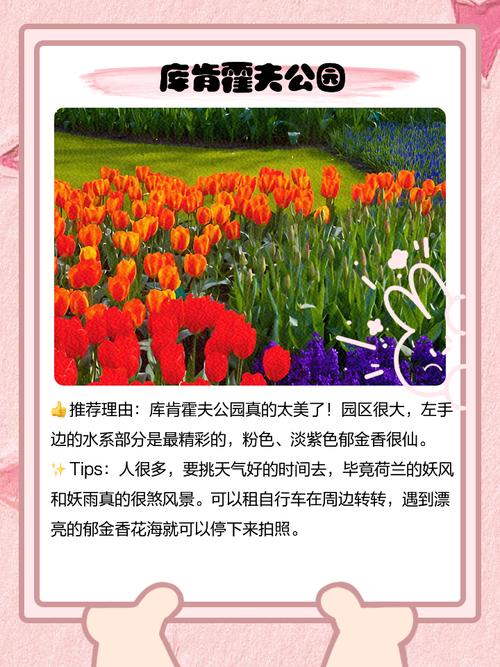 你知道荷兰还有哪些名字吗？探秘荷兰的别称和称号