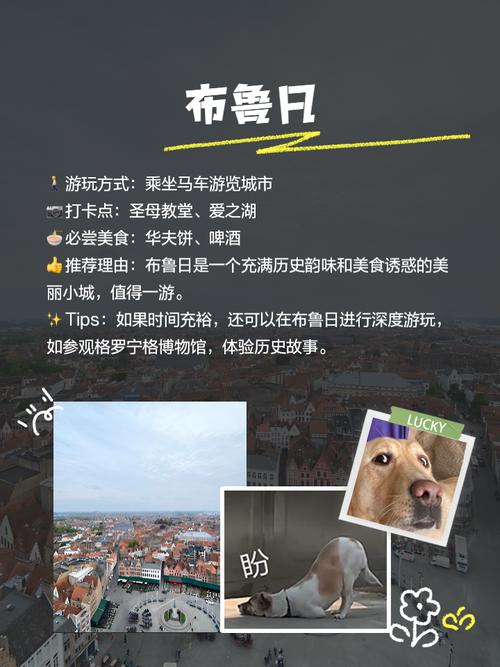 比利时国家怎么样？比利时旅游攻略：景点、美食及交通指南