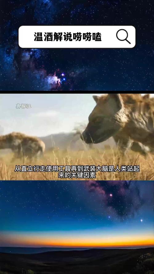 为什么人类永远跑不进9秒？科学解释来了