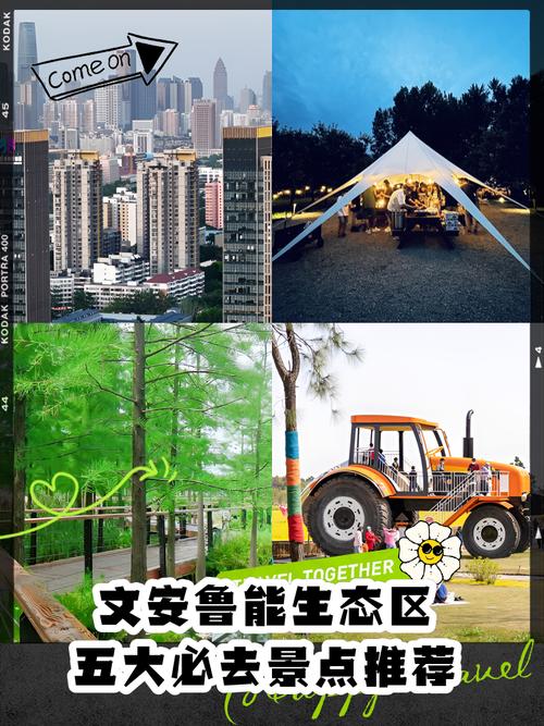 想知道鲁能集团总部在哪？这篇告诉你答案