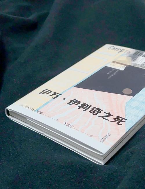 昔日天才贾努扎伊的没落：伤病和机遇错失是主因？