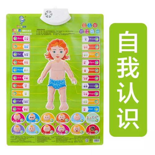 想知道身体的拼音？这里有最全面的解答！