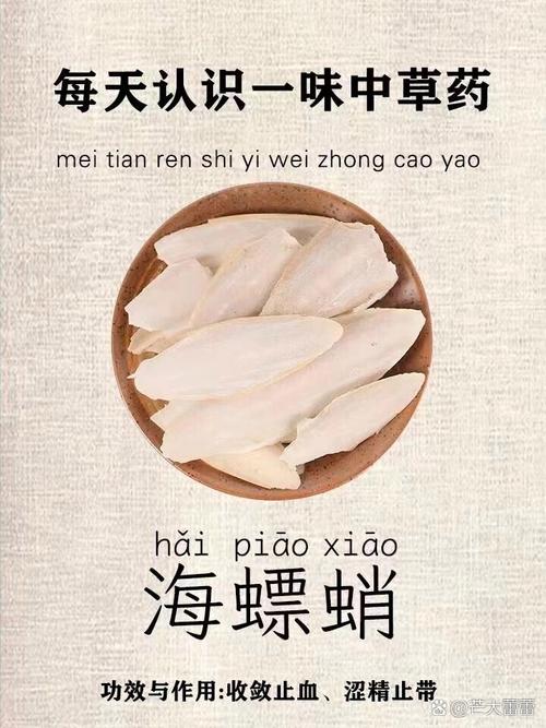 傻傻分不清？乌贼骨和海螵蛸是同一种药材吗？