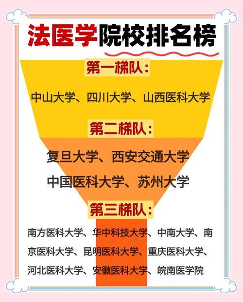 法医学是干什么的？揭秘法医的日常工作和职业发展