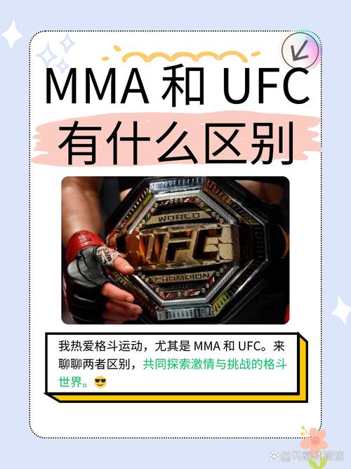 UFC是什么意思啊？小白也能看懂的UFC赛事介绍