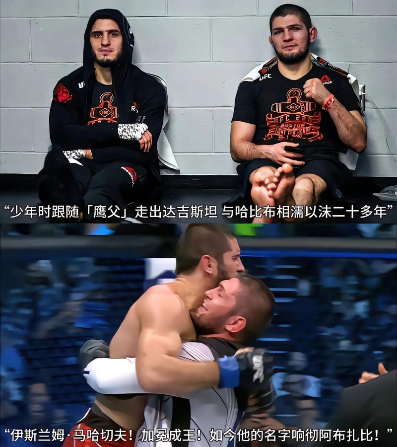 解密狼王和小鹰：谁才是真正的格斗王者？