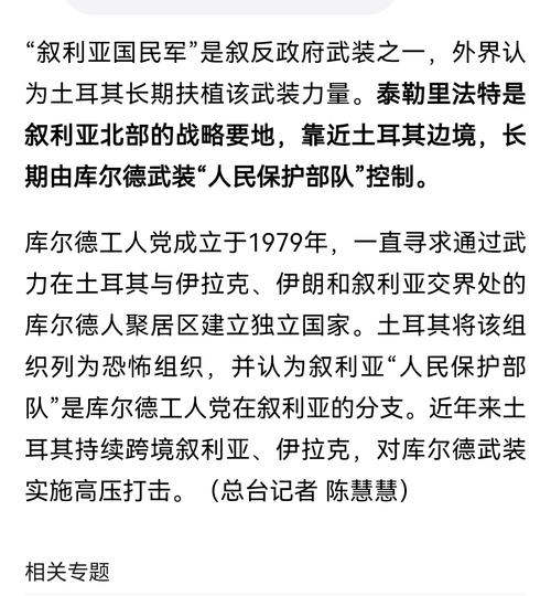 叙利亚动荡：局势发展及对国际的影响解读
