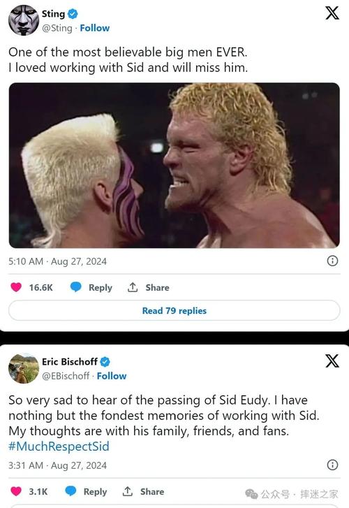 WWE历史上发生过死亡事件吗？深度分析