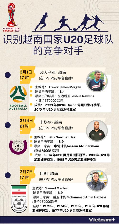 越南足球什么水平？从世界排名到比赛表现全面解读