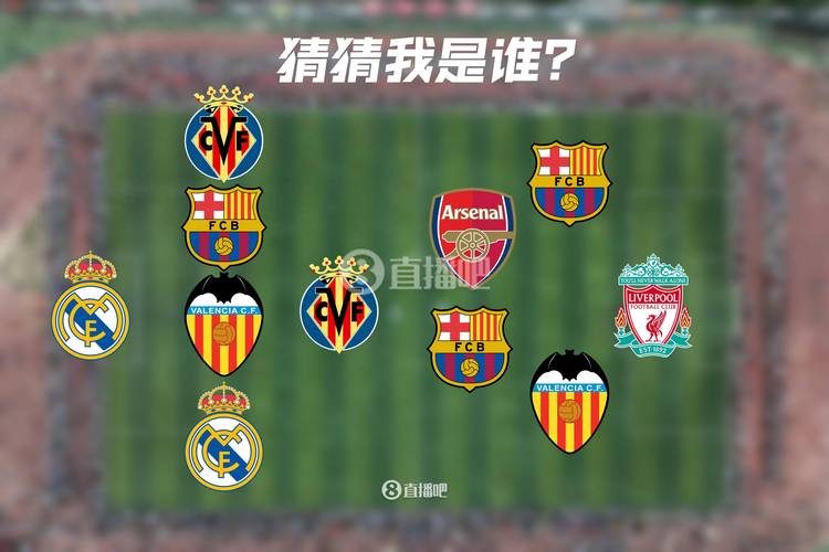 想了解欧冠和欧洲杯？看完这篇就全明白了