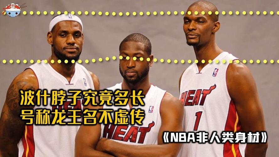 为什么大家都叫波什龙王？他的球场表现和外形告诉你答案！