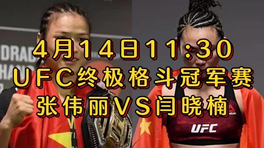 如何免费观看UFC比赛？高清直播渠道推荐
