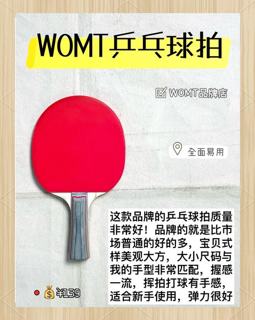 高性价比乒乓球品牌推荐，让你轻松选购