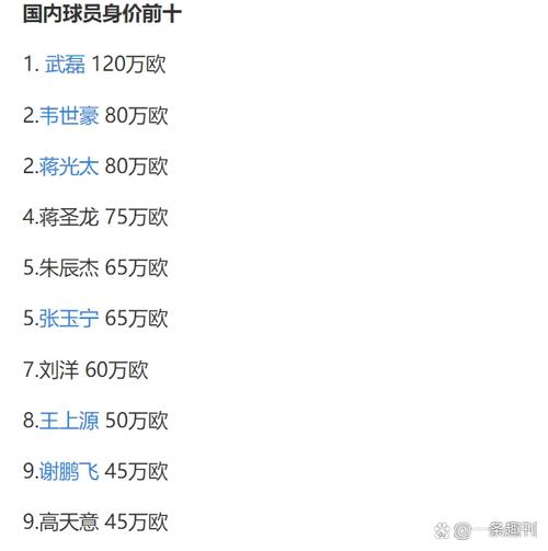想知道武磊的身价吗？120万欧元，他是中国球员最高身价吗？