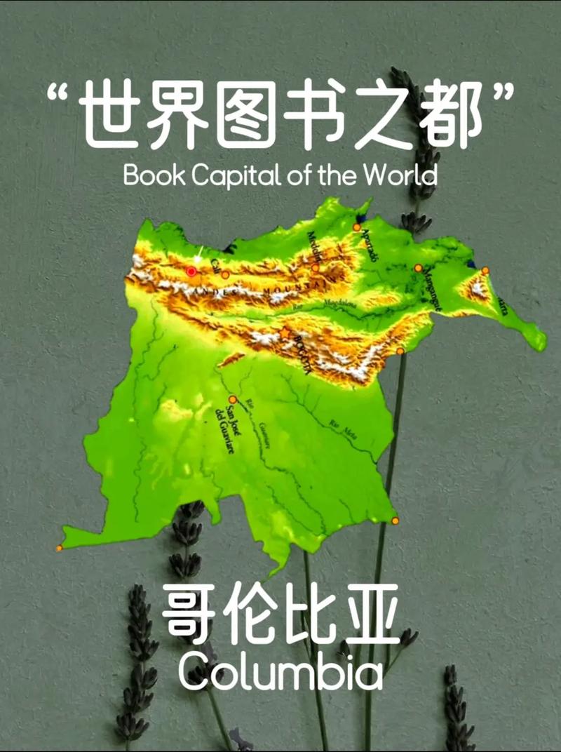 哥伦比亚位于哪个洲？探秘南美洲国家哥伦比亚