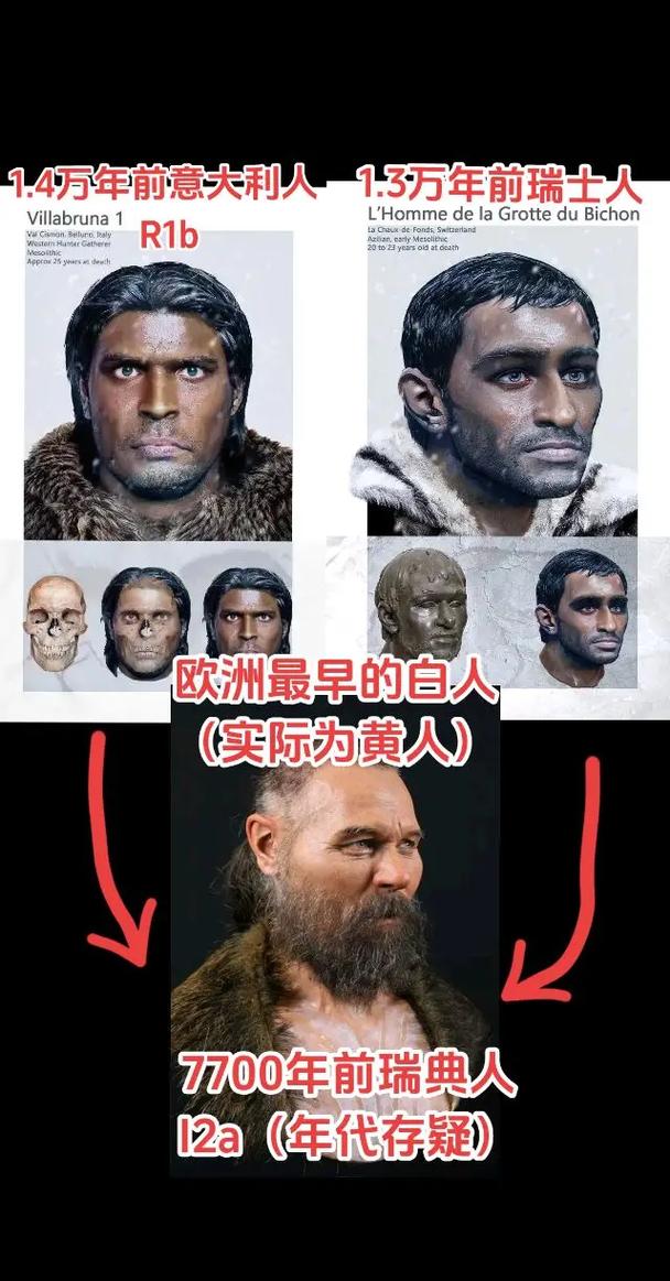 尼日利亚有多少白人？非洲国家种族比例大揭秘