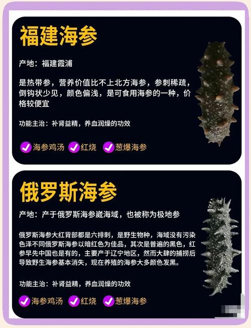男足海参是什么梗？细数中国男足的“海参”黑历史