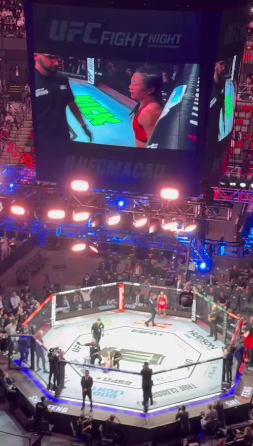 UFC是什么意思啊？小白也能看懂的UFC赛事介绍