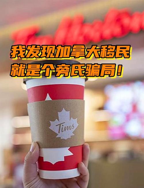 加拿大：发达国家？还是另有隐情？