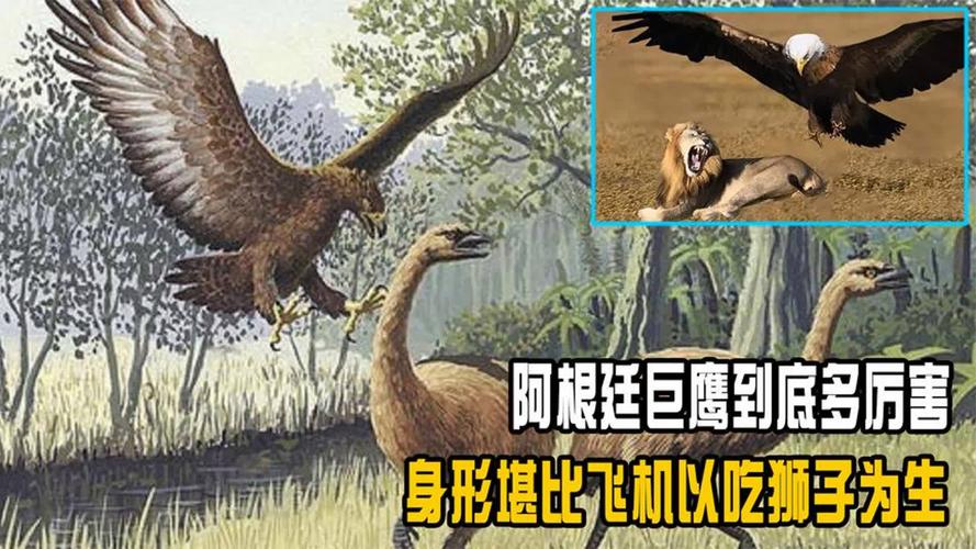 阿根廷巨鹰的日常食谱是什么？详解巨鹰的觅食方法！