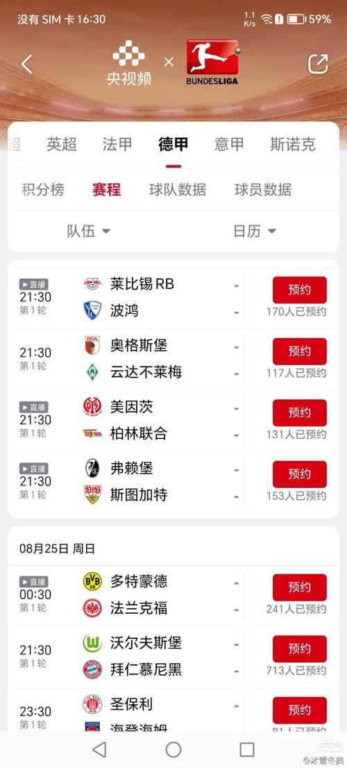 如何收看德甲联赛？免费/付费直播平台大比拼