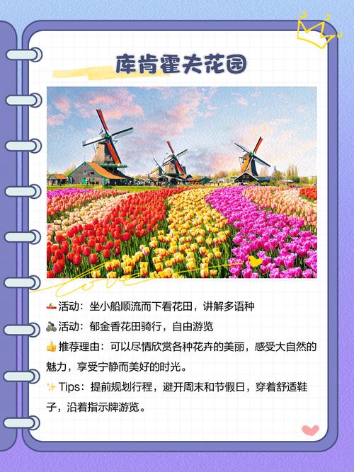 你知道荷兰还有哪些名字吗？探秘荷兰的别称和称号