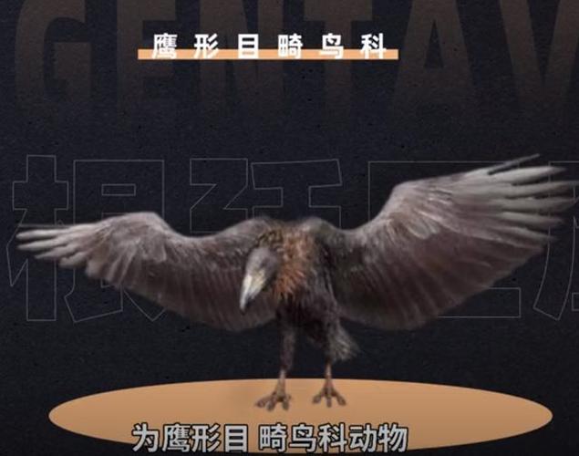 阿根廷巨鹰的日常食谱是什么？详解巨鹰的觅食方法！