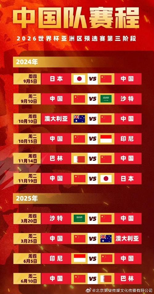 中国举办过世界杯吗？深度解析中国足球世界杯之路