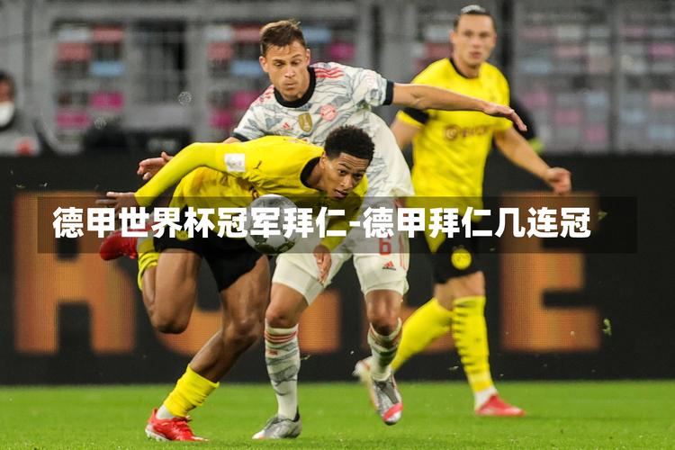 拜仁参加世界杯人数创纪录？具体多少人？