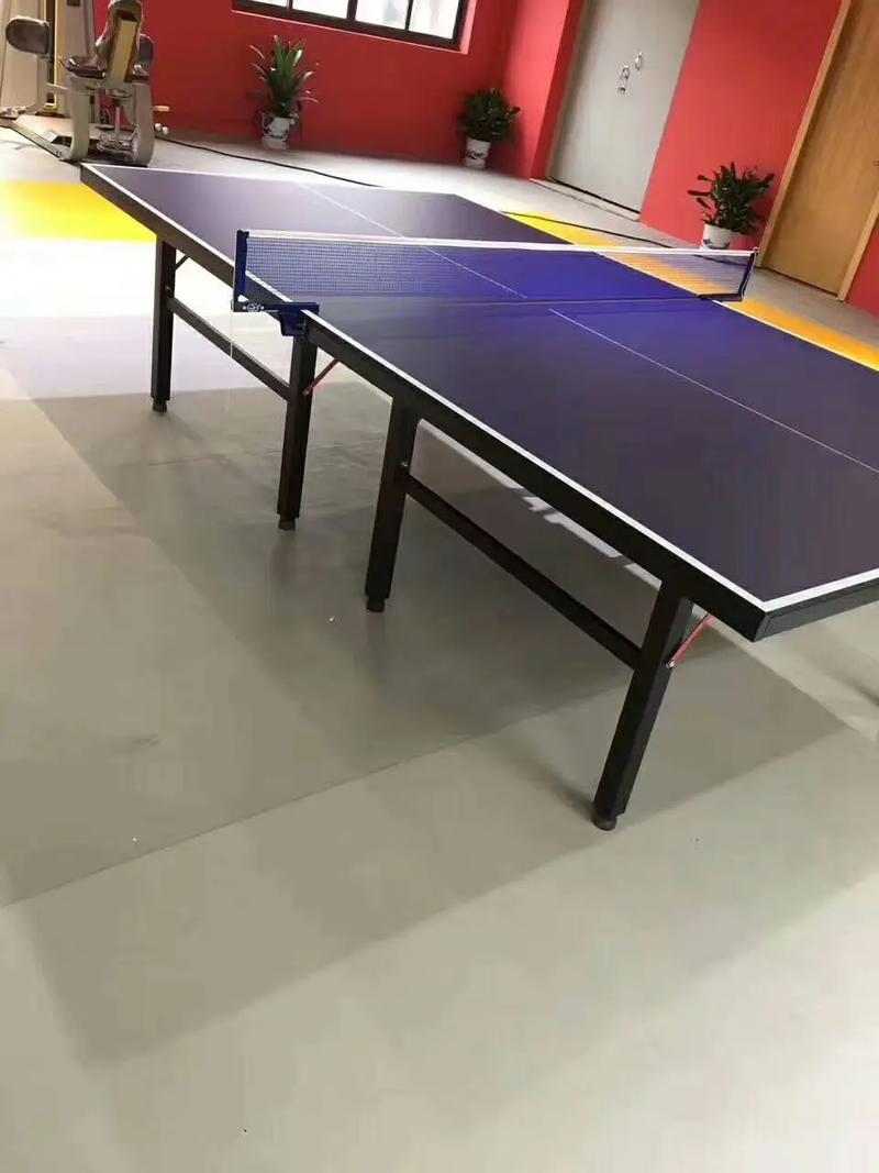 各种乒乓球台价格大比拼，哪款最适合你？
