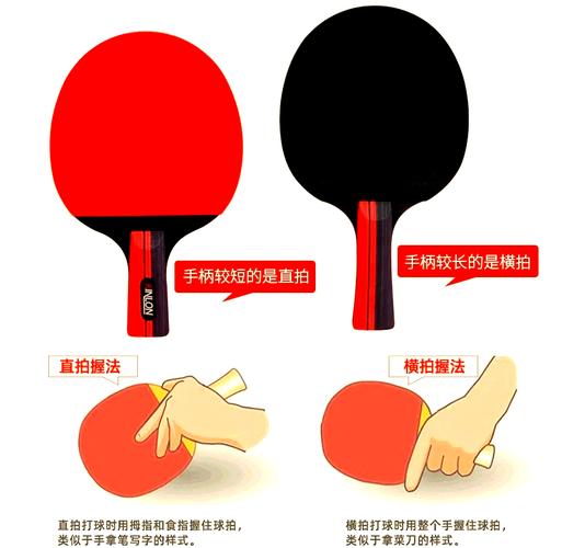 入门级乒乓球拍几星最好？星级与球技匹配指南