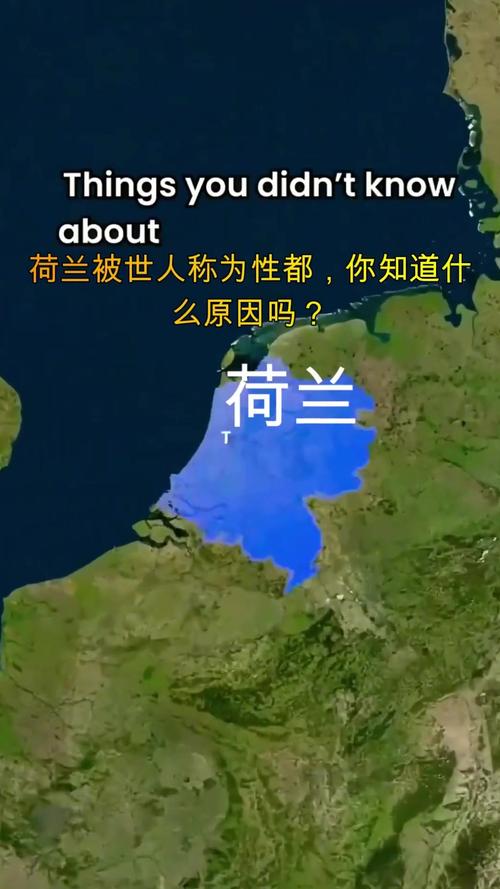 你知道吗？巴西和荷兰之间竟然有这么一段历史！