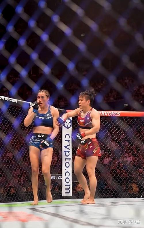 UFC冠军怎么产生？揭秘终极格斗冠军诞生之路
