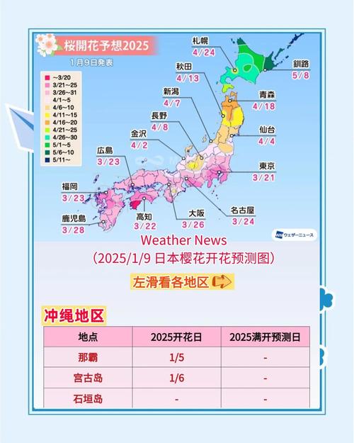 日本樱花几月份开？各地樱花开花时间表速览