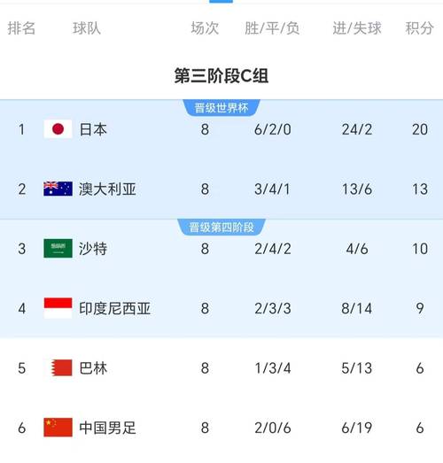 中国男足世界杯参赛经历：哪一年闪耀世界杯？