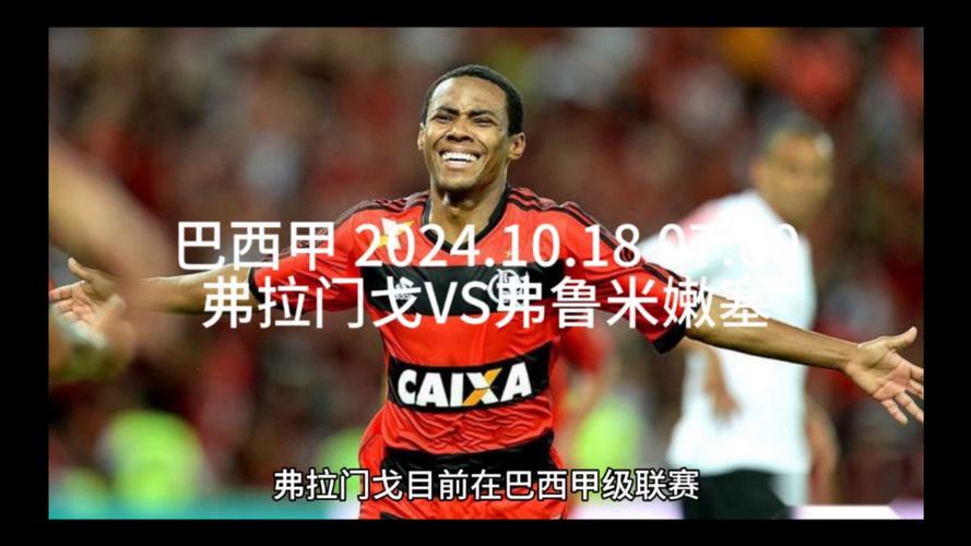 巴西弗鲁米嫩塞足球俱乐部，你了解它的其他名字吗？