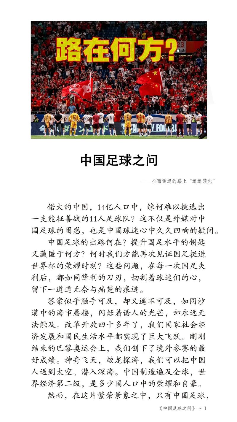 深入了解中国足球队：国家队与各级梯队阵容