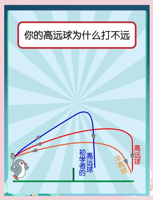 为什么我的球探网打不开？几个实用解决方法