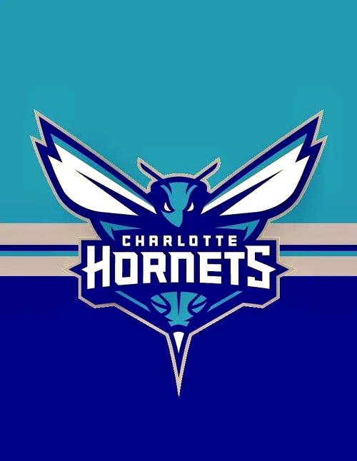 NBA黄蜂队为何改名鹈鹕？新奥尔良的秘密！