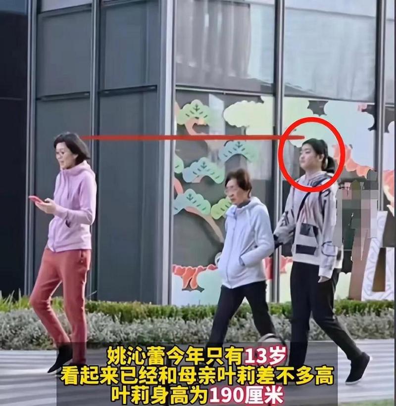 姚明女儿身高有多高？最新消息：14岁已超过1米9！