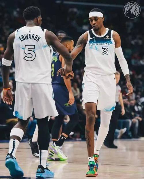 NBA黄蜂队为何改名鹈鹕？新奥尔良的秘密！