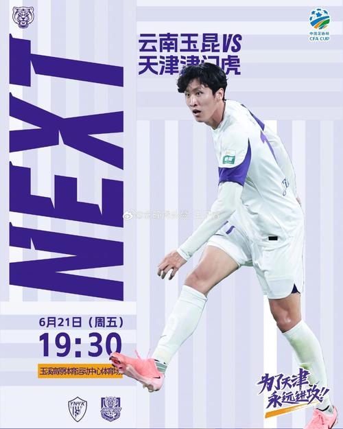 天津泰达改名：从泰达到津门虎的转变