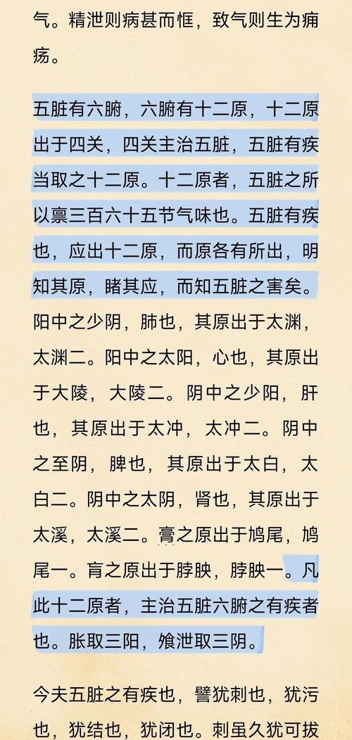 原口元气场上司职什么位置？深度解析其位置特点